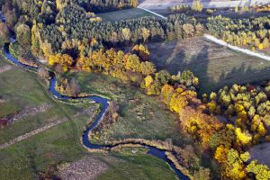 Meandrującą Rzeka Rawka w Żydomicach i Julianowie foto. D. Piwowarski