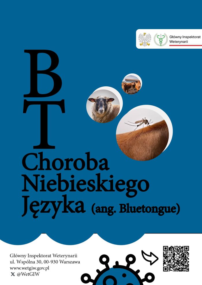 Choroba niebieskiego języka (BT) - ulotka informacyjna