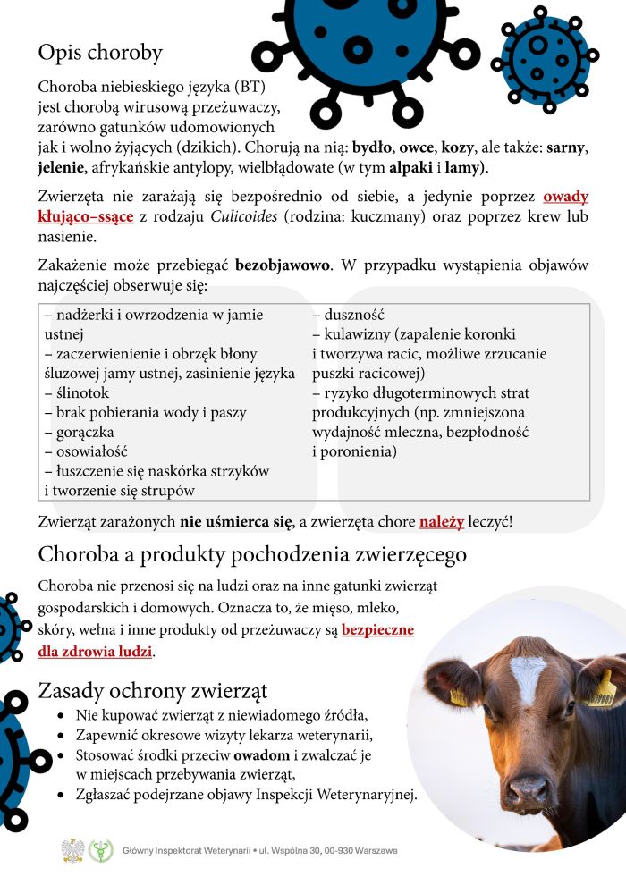 Choroba niebieskiego języka (BT) - ulotka informacyjna