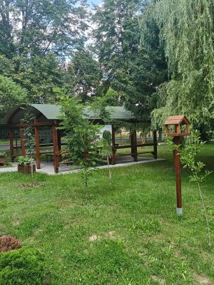 Zdjęcie przedstawia altanke