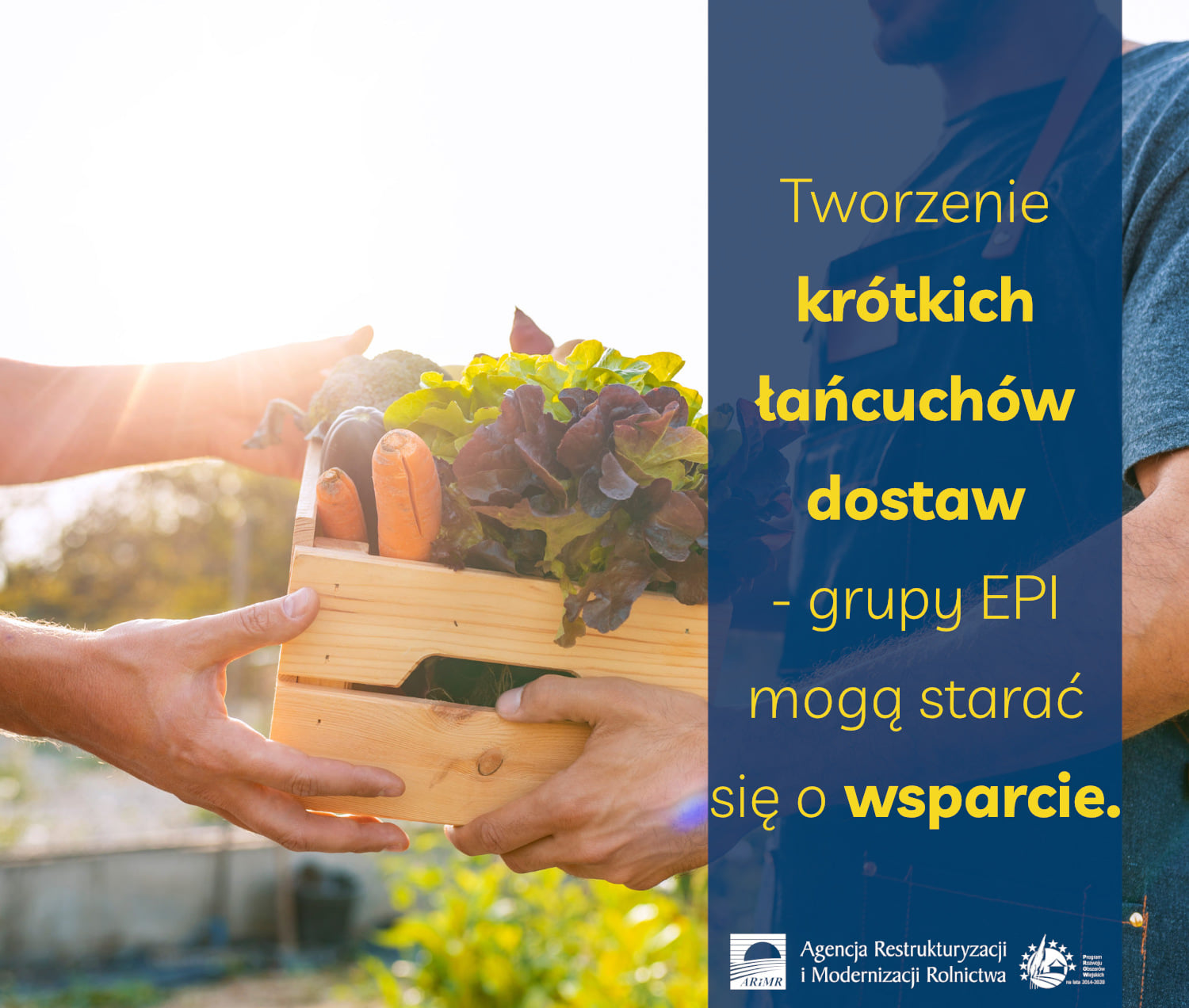 Tworzenie krótkich łańcuchów dostaw - grupy EPI mogą starać się o wsparcie