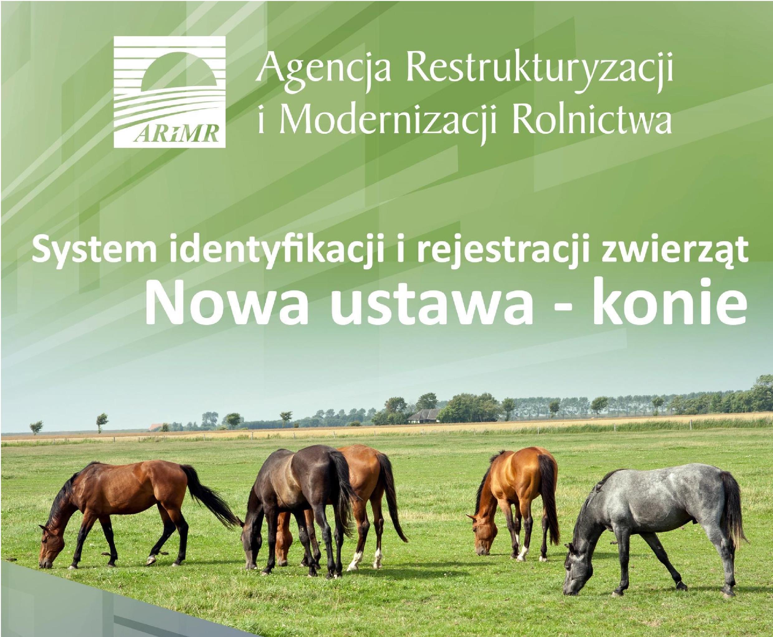 Materiały informacyjne dotyczące koniowatych i drobiu